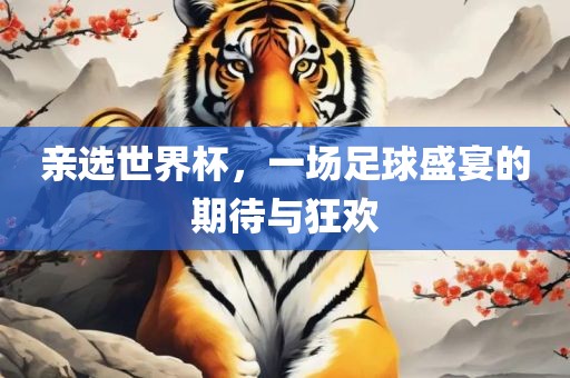 亲选世界杯，一场足球盛宴的期待与狂欢眉山市正发家政服务有限公司