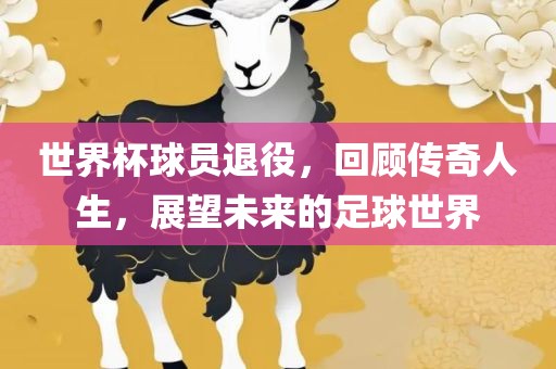 世界杯球员退役，回顾传奇人生，展望未来的足球世界眉山市正发家政服务有限公司