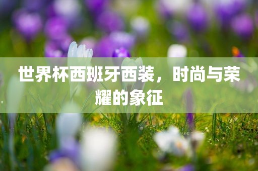世界杯西班牙西装，时尚与荣耀的象眉山市正发家政服务有限公司征