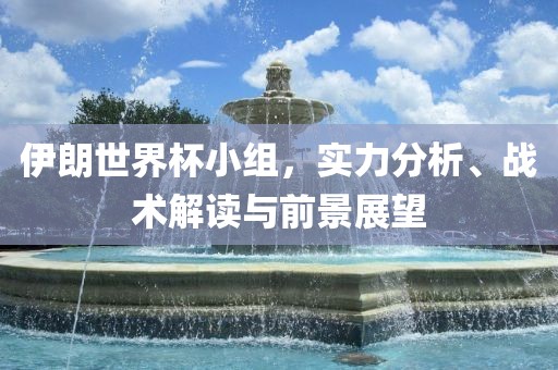 伊朗世界杯小组，实力分析眉山市正发家政服务有限公司、战术解读与前景展望