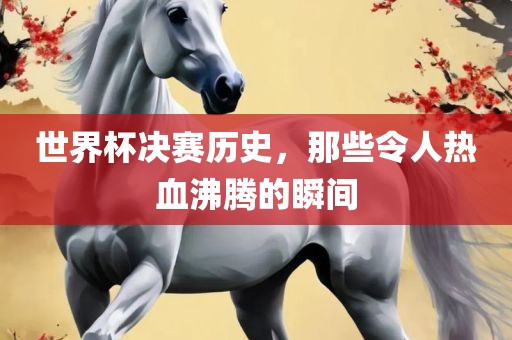 世界杯决赛历史，那些令人热血沸腾的瞬间