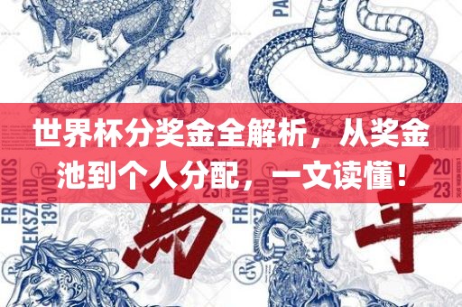 世界杯分奖金全解析，从奖金池到个人分配，一文读懂！