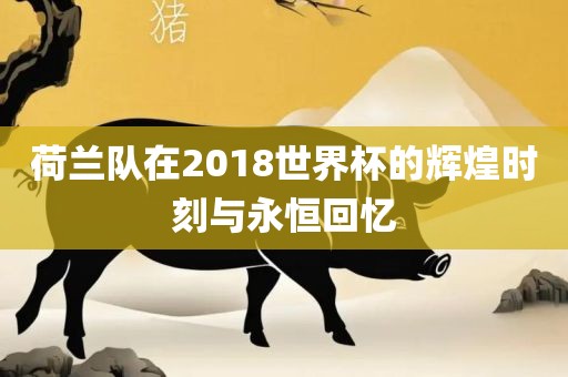 荷兰队在2018世界杯的眉山市正发家政服务有限公司辉煌时刻与永恒回忆