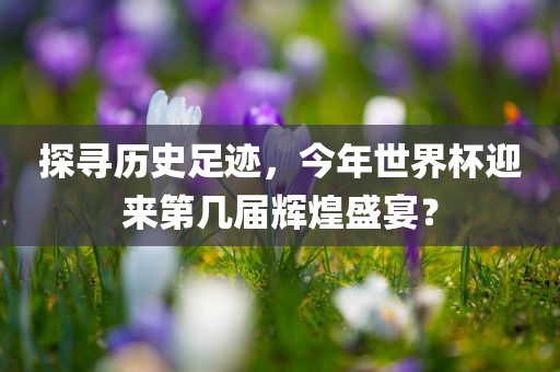 探寻历史足迹，今年世界杯迎来第几届辉煌盛宴？眉山市正发家政服务有限公司
