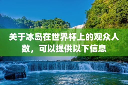 关于冰岛在世界杯上的观众人数，可以提供以下信息