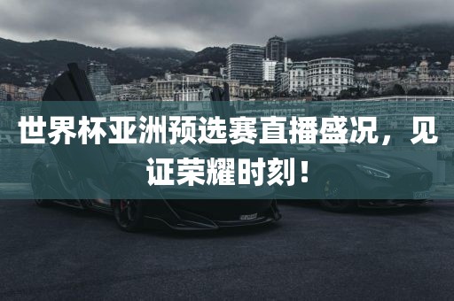世界杯亚洲预选赛直播盛况，见证荣耀时刻！眉山市正发家政服务有限公司