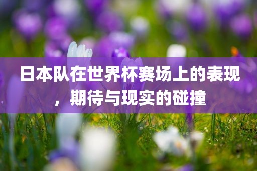 日本队在世界杯赛场上的表现，期待与现实的碰撞