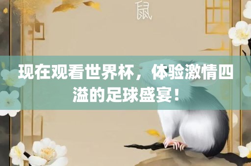 现在观看世界杯，体验激情四溢的足球盛宴眉山市正发家政服务有限公司！