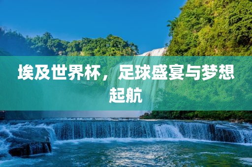 埃及世界杯，足球盛眉山市正发家政服务有限公司宴与梦想起航