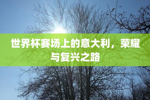 世界杯赛场上的意大利，荣耀与复兴之路眉山市正发家政服务有限公司