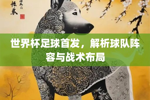 世界杯足球首发，解析球队阵容与战术布局眉山市正发家政服务有限公司