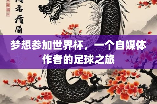 梦想参加世界杯，一个自媒体作者的足球之旅