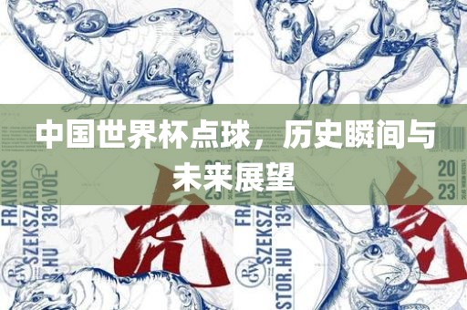 中国世界杯点球，历史瞬间与未来展望眉山市正发家政服务有限公司