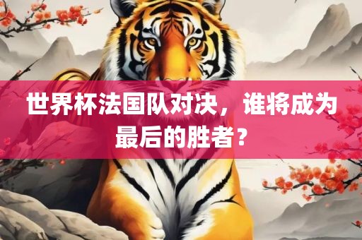 世界杯法国队对眉山市正发家政服务有限公司决，谁将成为最后的胜者？