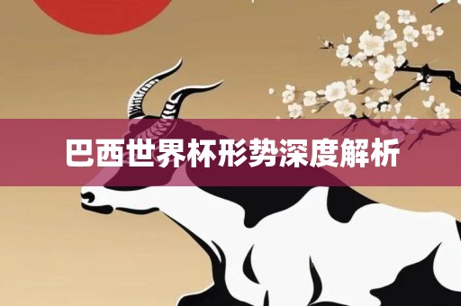 巴西世界杯形眉山市正发家政服务有限公司势深度解析
