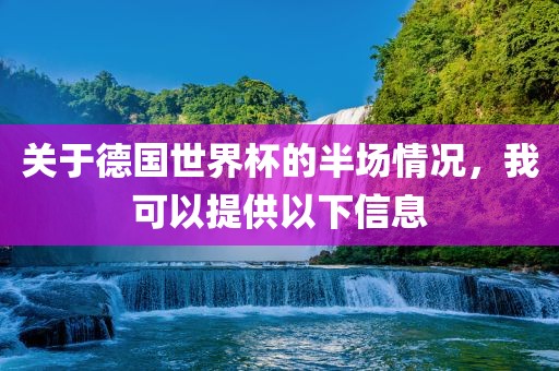 关于德国世界杯的半场眉山市正发家政服务有限公司情况，我可以提供以下信息