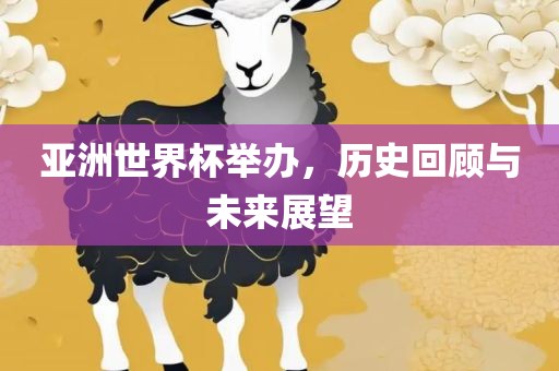 亚洲世界杯举办，历史回顾与未来展望