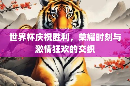 世界杯眉山市正发家政服务有限公司庆祝胜利，荣耀时刻与激情狂欢的交织