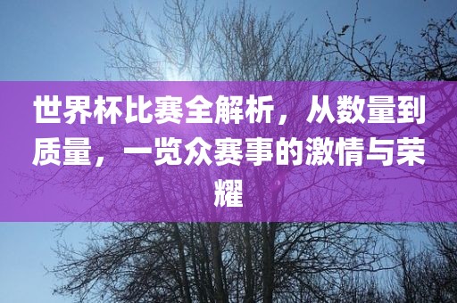 世界杯比赛全解析，从数量到质眉山市正发家政服务有限公司量，一览众赛事的激情与荣耀