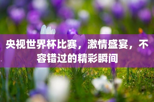 央视世界杯比赛，激情盛宴，不容错过的精彩瞬间