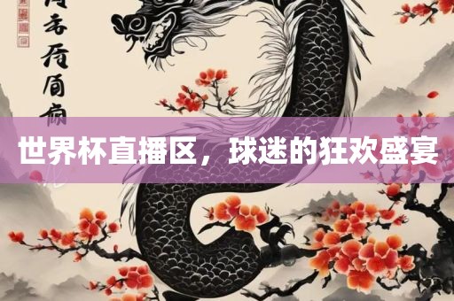 世界杯直播区，球迷的狂欢盛宴