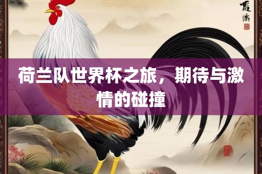 荷兰队世界杯之旅，期待与激情的碰撞