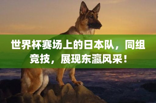世界杯赛场上的日本队，同组竞技，展现东瀛风采！眉山市正发家政服务有限公司