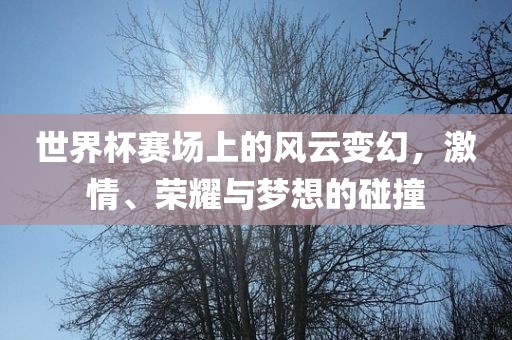 世界杯赛场上的风云变幻，激情、荣耀与梦眉山市正发家政服务有限公司想的碰撞