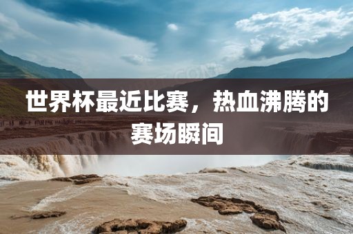 世界杯最近比赛，热血沸腾的赛场瞬间眉山市正发家政服务有限公司