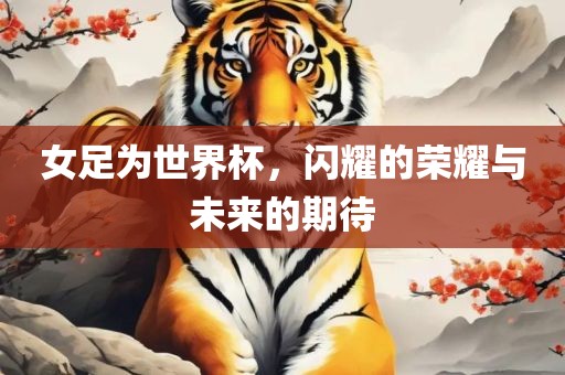 女足为世界杯，闪耀的荣耀与未来的期待