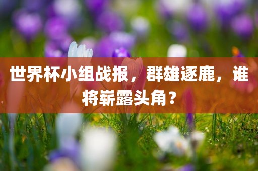 世界杯小组战报，群雄逐鹿，谁将崭露头角？眉山市正发家政服务有限公司