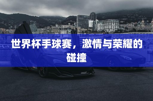 世界杯手球赛，激情与眉山市正发家政服务有限公司荣耀的碰撞