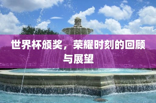 世界杯颁奖，荣耀时刻的回顾与展望眉山市正发家政服务有限公司