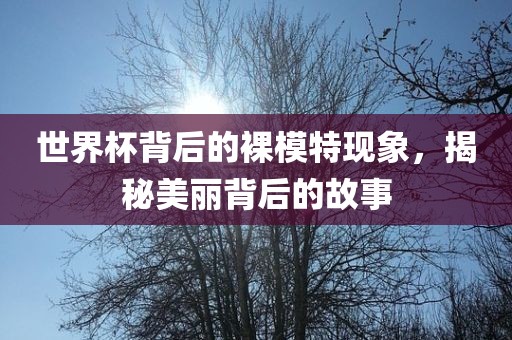 世界杯背后的裸模特现象，揭秘美丽背眉山市正发家政服务有限公司后的故事