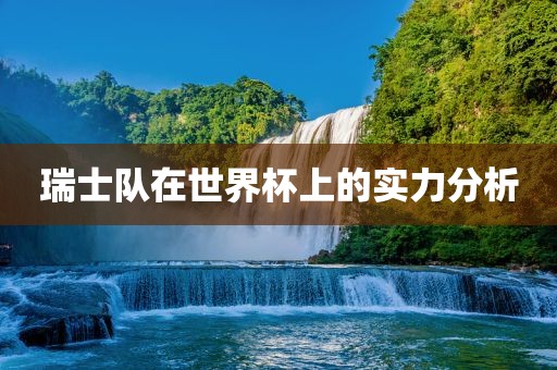 瑞士队在世界杯上的实力分析