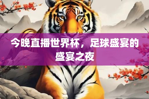 今晚直播世界杯，足球盛宴的盛宴之夜眉山市正发家政服务有限公司