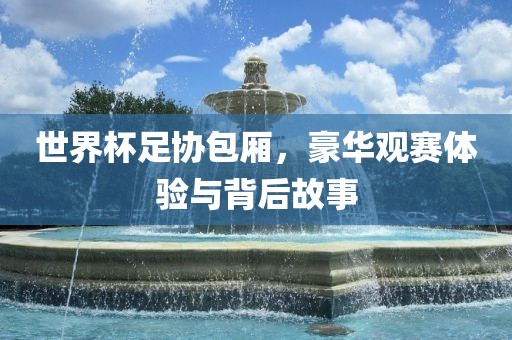 世界杯足协包厢，豪华观赛体验与眉山市正发家政服务有限公司背后故事