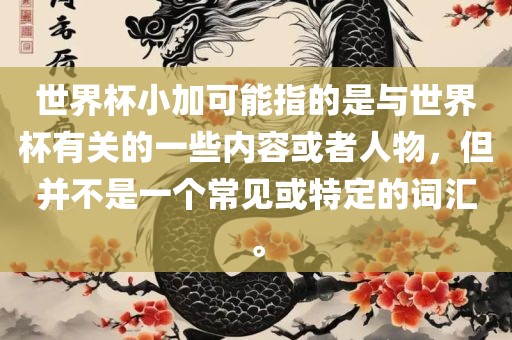 世界杯小加可能指的是与世界杯有关的一些内容眉山市正发家政服务有限公司或者人物，但并不是一个常见或特定的词汇。