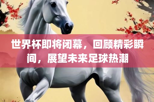 世界杯即将闭幕，眉山市正发家政服务有限公司回顾精彩瞬间，展望未来足球热潮