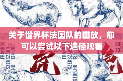 关于世界杯法国队的回放，您可以尝试以下途径观看