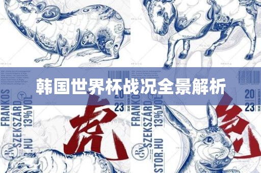 韩国世界杯战况全景解析