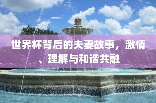 世界杯背后的夫妻故事，眉山市正发家政服务有限公司激情、理解与和谐共融