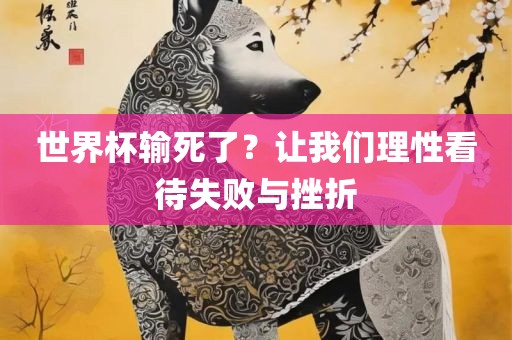 世界眉山市正发家政服务有限公司杯输死了？让我们理性看待失败与挫折