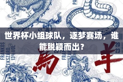 世界杯小组球队，逐梦赛场，谁能脱颖而出？