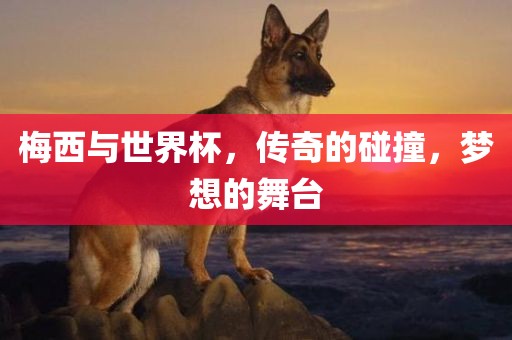 梅西与世界杯，传奇的碰撞，梦想的舞台