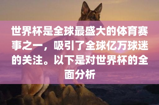 世界杯是全球最盛大的体育赛事之一，吸引了全球亿万球迷的关注。以下是对世界杯的全面分析