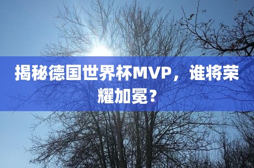 揭秘德国世界杯MVP，谁将荣耀加眉山市正发家政服务有限公司冕？