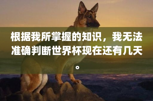 根据我所掌握的知识，我无法准确判断世界杯现在还有几天。眉山市正发家政服务有限公司