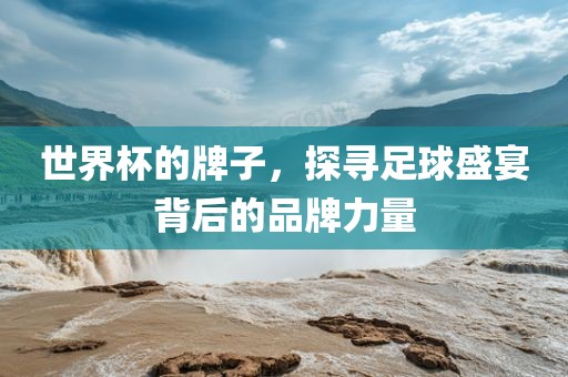 世界杯的牌子，探寻足球盛宴背后的品牌力量眉山市正发家政服务有限公司