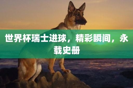 世界杯瑞士进球，精彩瞬间，永载史册眉山市正发家政服务有限公司